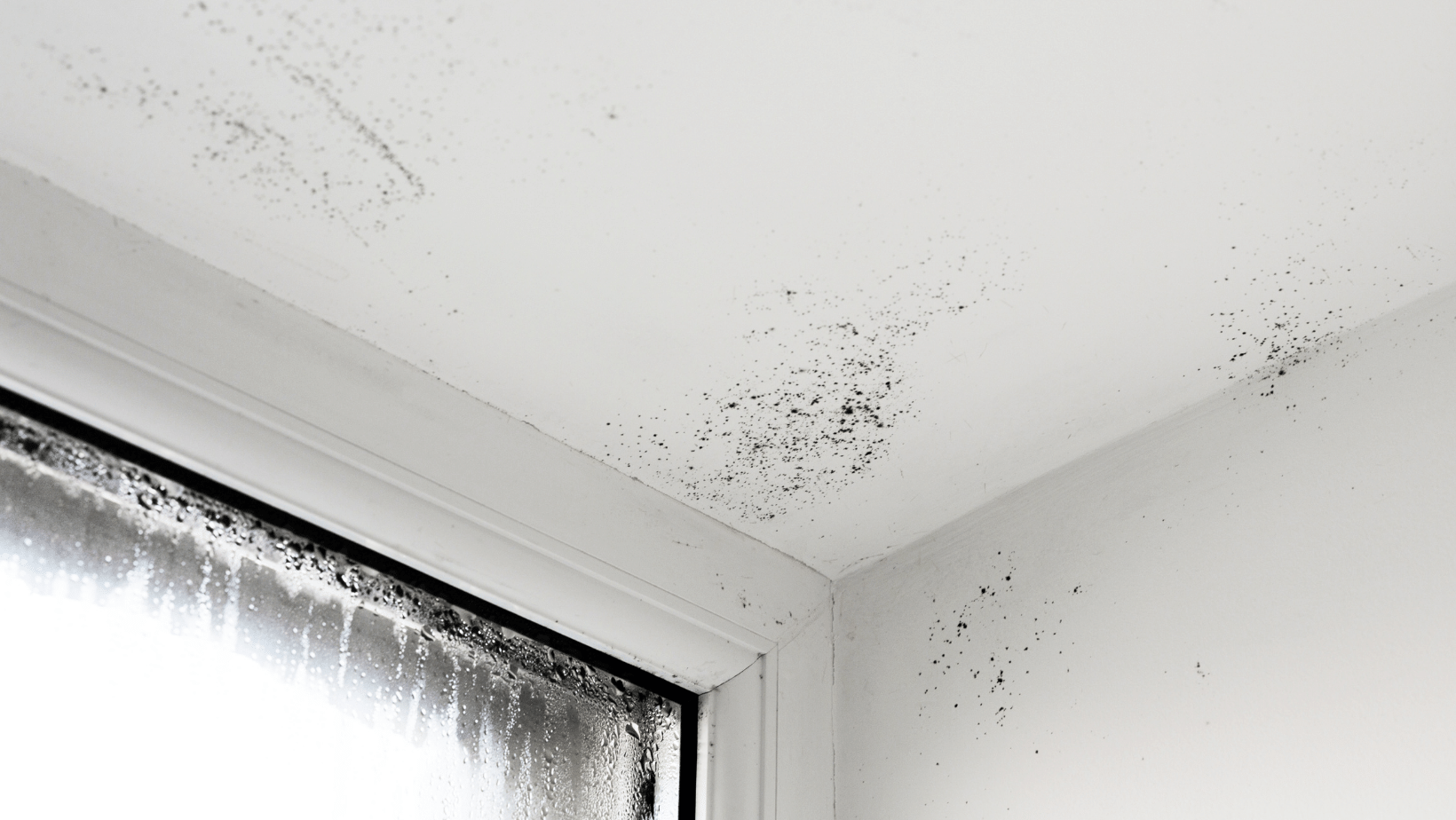 Manchas de humedad en las paredes: Causas, soluciones y cómo